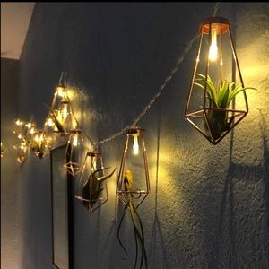 Meet your Posher, Kori